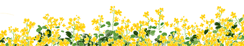 微信图片_20230217094547.png
