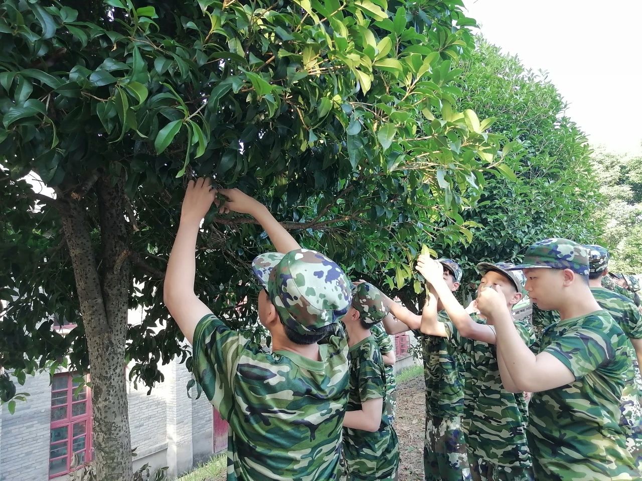 1723596211137357.jpg 1f9642a727ec883324ebbe3c2edb5291.jpg