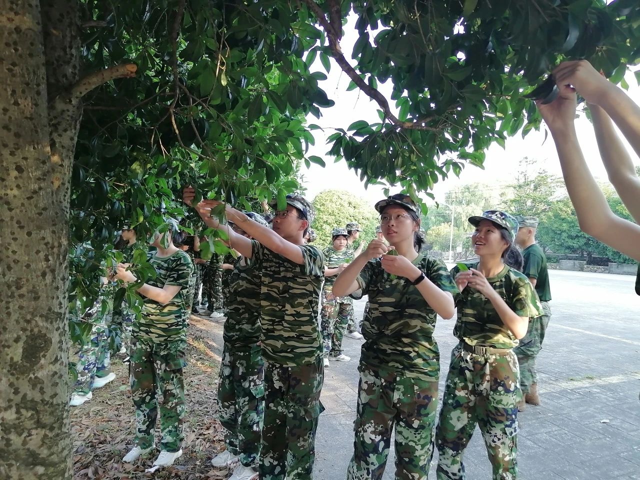 1723596217375237.jpg 7b62a7e70a40e2488513721477b68867.jpg